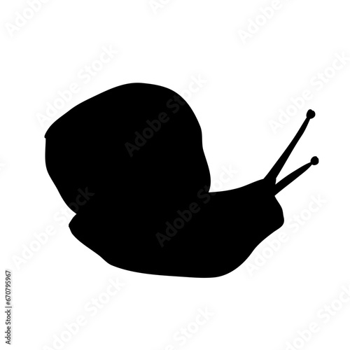 Snail shell animal