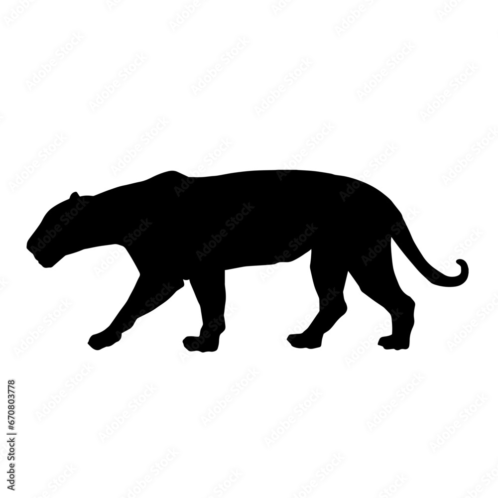 Silhouette of a wild forest big cat animal walking pose isolated on white background.