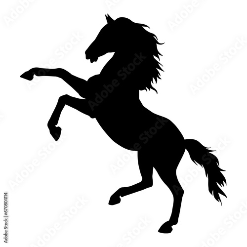 Fototapeta Naklejka Na Ścianę i Meble -  Silhouette of a horse standing on two hind legs. Silhouette of a stallion lifting front legs.