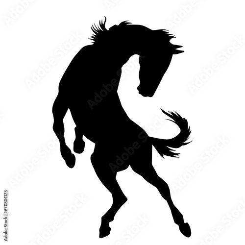 Silhouette of a horse standing on two hind legs. Silhouette of a stallion lifting front legs.