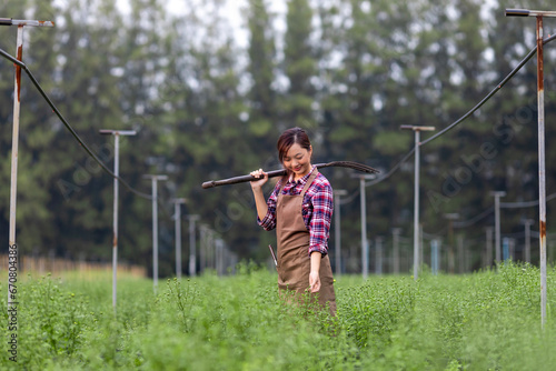 Portrait of Asian gardener woman holding garden fork while working in chrysanthemum farm for cut flower business