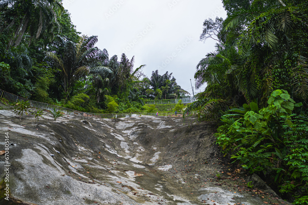 mountain river in the forest