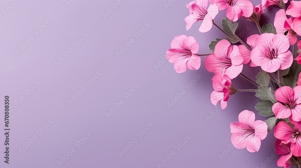 Mesmerizing Geranium Flower Patterns in a Stunning Top View Mesmerizing Geranium Flower Patterns in a Stunning Top View