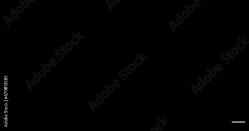 Wallpaper Mural Self-drawing continuous line animation video of architecture building house skyline on black background Torontodigital.ca