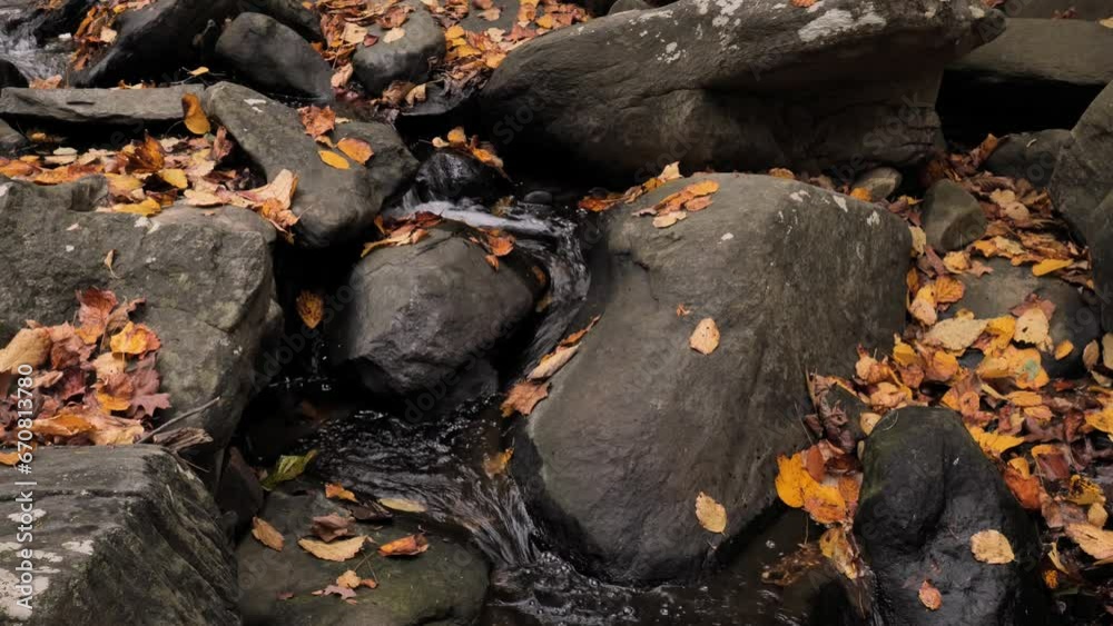 Forest streams between stones covered with a layer of autumn leaves. Forest streams between stones covered with a layer of autumn leaves.