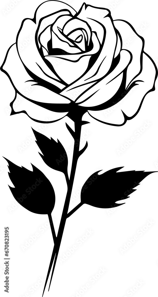 Wonderful Rose Wonderful Rose