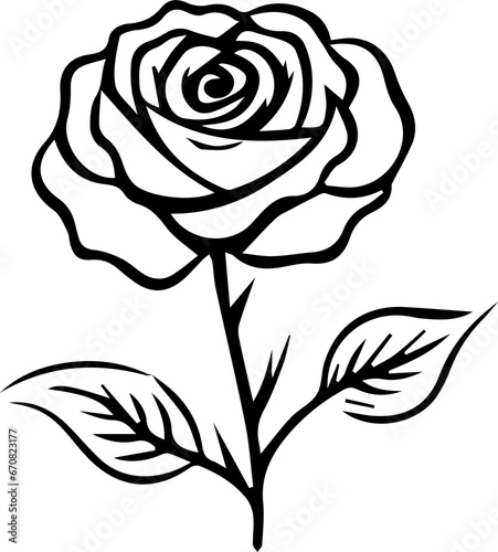 Wonderful Rose 