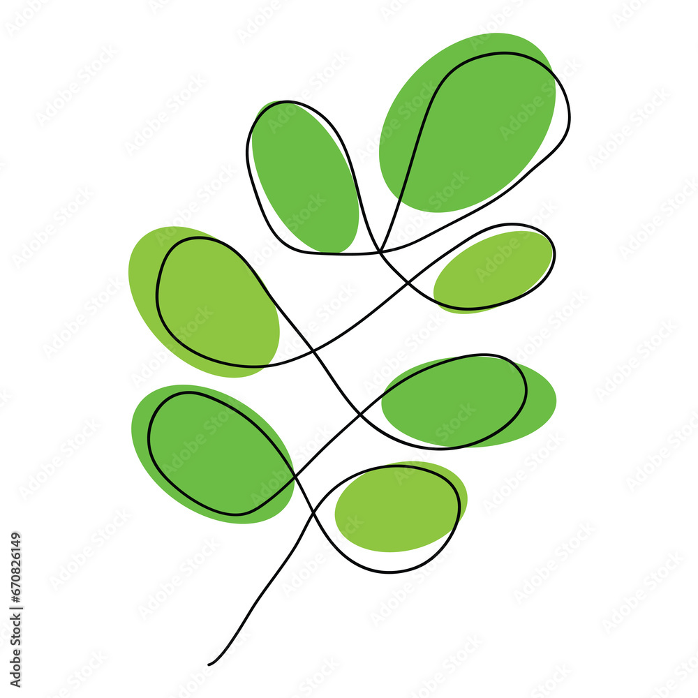 Leaves elements. Garden floral plants vector illustration. Leaves elements. Garden floral plants vector illustration.