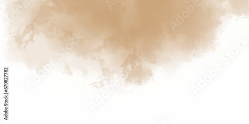 Brown particles splattered on white background. Freeze motion of brown dust explosion. Stopping the movement of brown powder. Explosive brown powder on white background.

