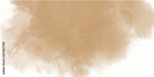 Brown particles splattered on white background. Freeze motion of brown dust explosion. Stopping the movement of brown powder. Explosive brown powder on white background.

