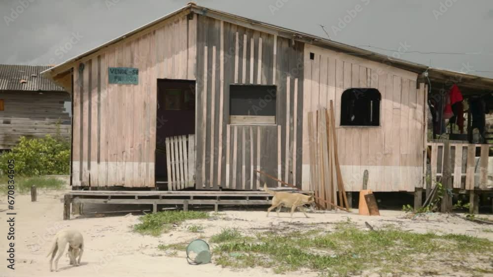 Handheld shot of typical wooden house from northern Brazil, dogs around Handheld shot of typical wooden house from northern Brazil, dogs around