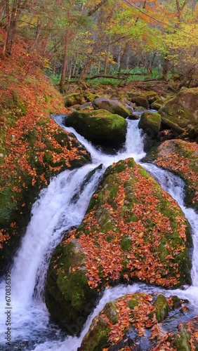 vertical video of waterfall in autumn forest