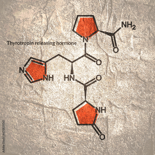 TRH or Thyrotropin releasing hormone chemical formula. Chemical molecular structure. photo