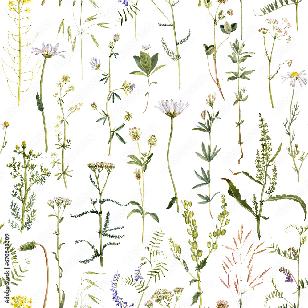 watercolor seamless pattern with drawing plants and flowers at white background, natural ornament, hand drawn botanical illustration