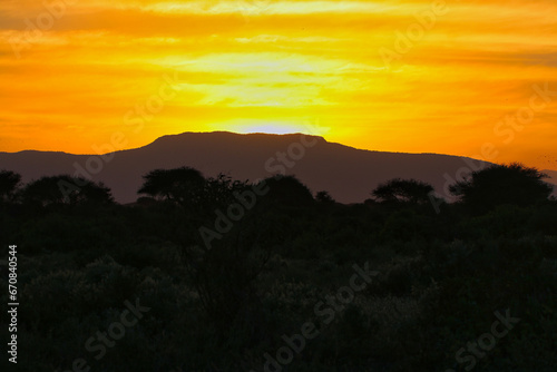 The dusty savanna of Tsavo and the red clay produces fiery sunsets over Tsavo East National Park  Kenya  Africa
