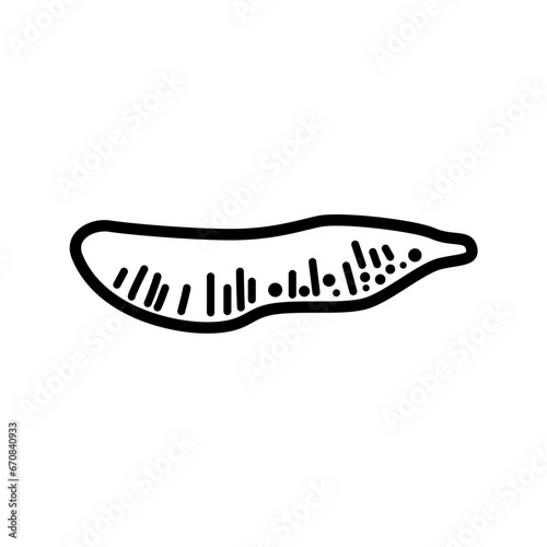 おせち　数の子アイコン　イラスト