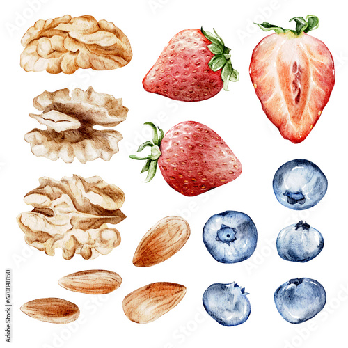 Set of watercolor illustrations with strawberries, blueberries, almonds and walnuts. For diet menu, cookbook, packaging, signboard, market, posters