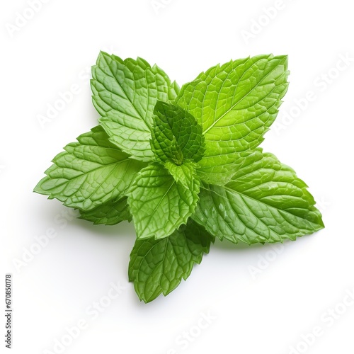 A close-up of a mint leaf on a white background. Generative Ai.
