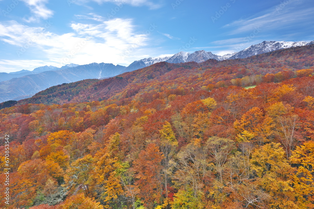 白馬連峰を望む栂池高原の秋の三段紅葉