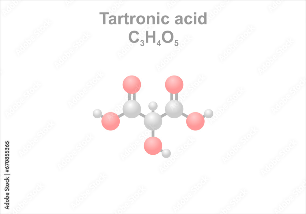 Simplified scheme of the tartronic acid molecule.