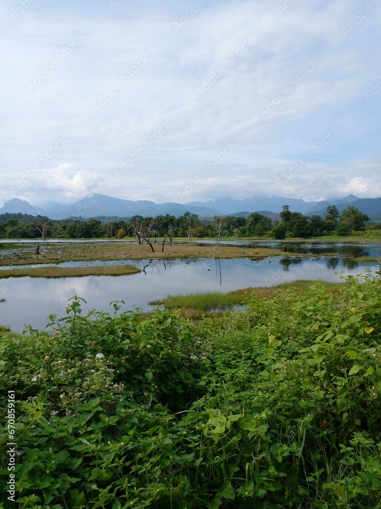 Fototapeta premium landscape with river