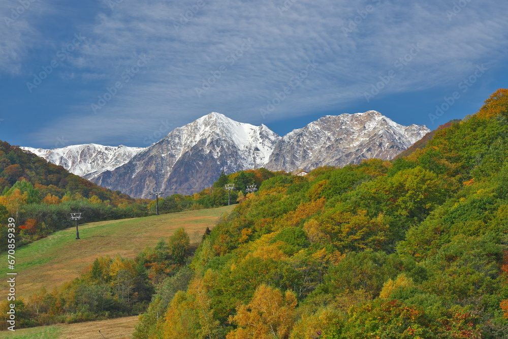 Fototapeta premium 白馬鑓ヶ岳と杓子岳を望む栂池高原の秋の三段紅葉