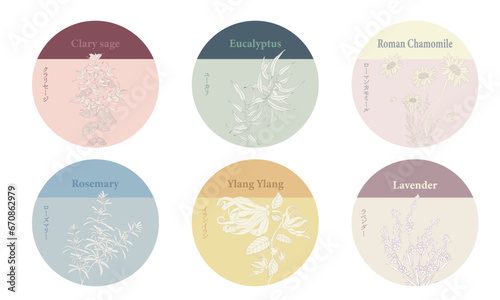 ハーブのラベル・草花・ローズマリー・ラベンダー・ユーカリ・クラリセージ・イランイラン・カモミール