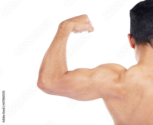 Back of bodybuilder, strong muscle and training bicep, arm or gym on isolated, transparent or png background. Model, check growth or progress of body, muscles or flexing in exercise or workout