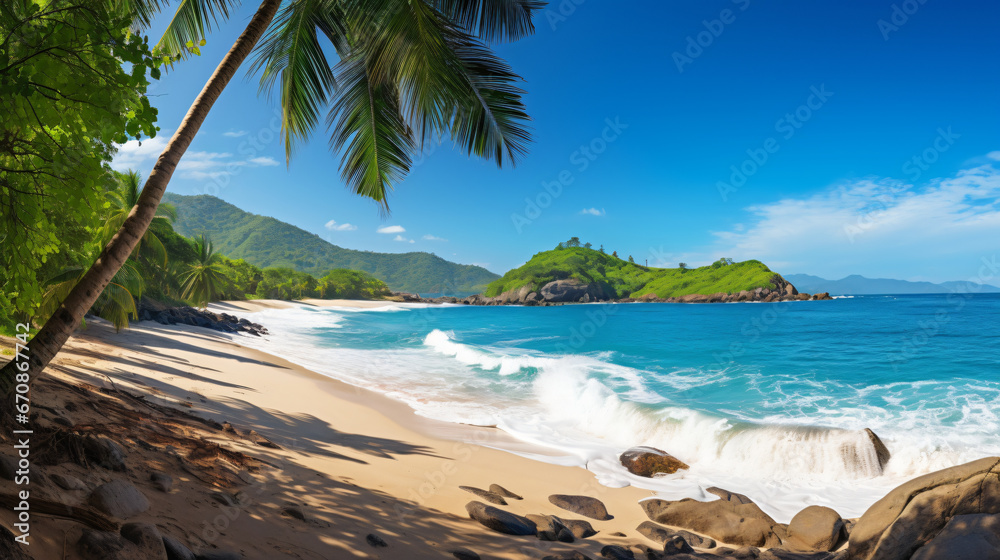 Ansa Severe beach view with palm tree leaves. Coastal