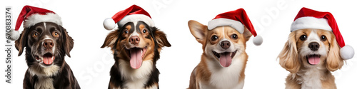 Set of dogs wearing Santa Claus hat, Merry Christmas, transparent PNG, isolated