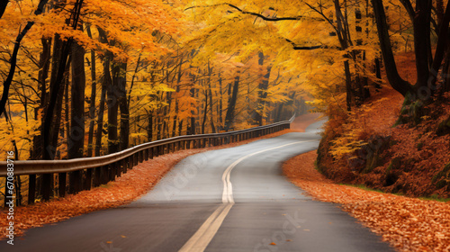 Autumn road through European woods beautiful