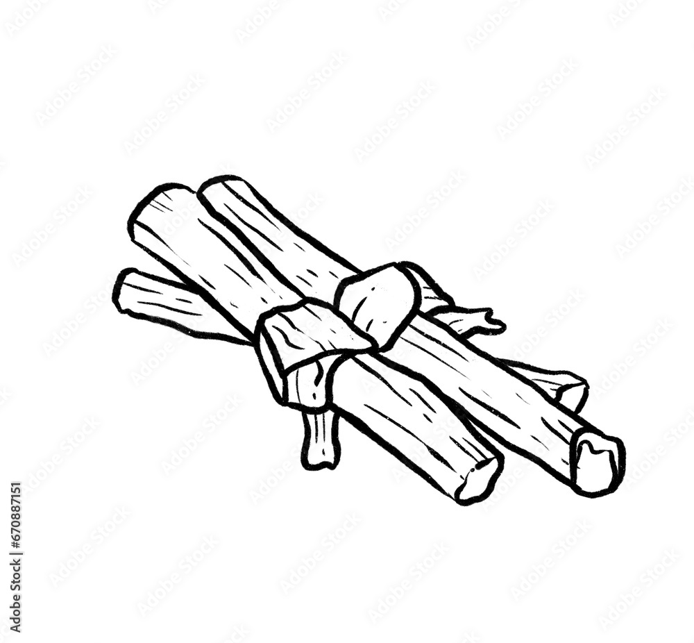 Obraz premium cinnamon line