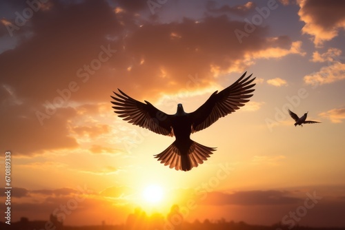 Silhouette pigeon return coming to hands in air vibrant sunlight sunset sunrise background © Andrus Ciprian