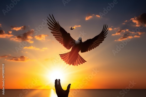 Silhouette pigeon return coming to hands in air vibrant sunlight sunset sunrise background © Andrus Ciprian