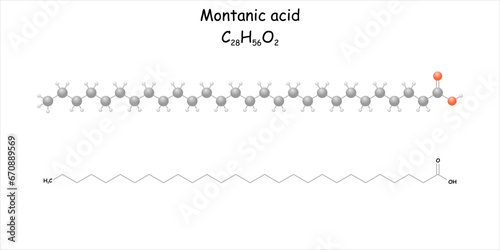 Montanic acid. Stylized molecule model and structural formula. Occurs in e.g., in beeswax or Chinese wax.