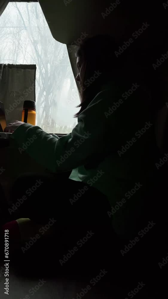 woman in train working on laptop woman in train working on laptop