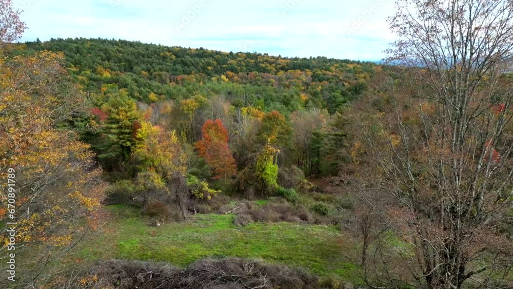 Generic fall foliage on rainy day in Western Massachusetts_drone shot Generic fall foliage on rainy day in Western Massachusetts_drone shot