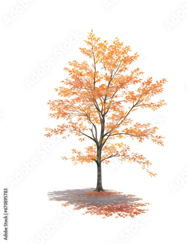  autumn tree isolated © nuiiko