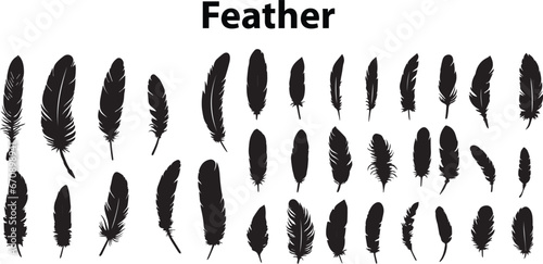 set of different black feather feather icons on a white background