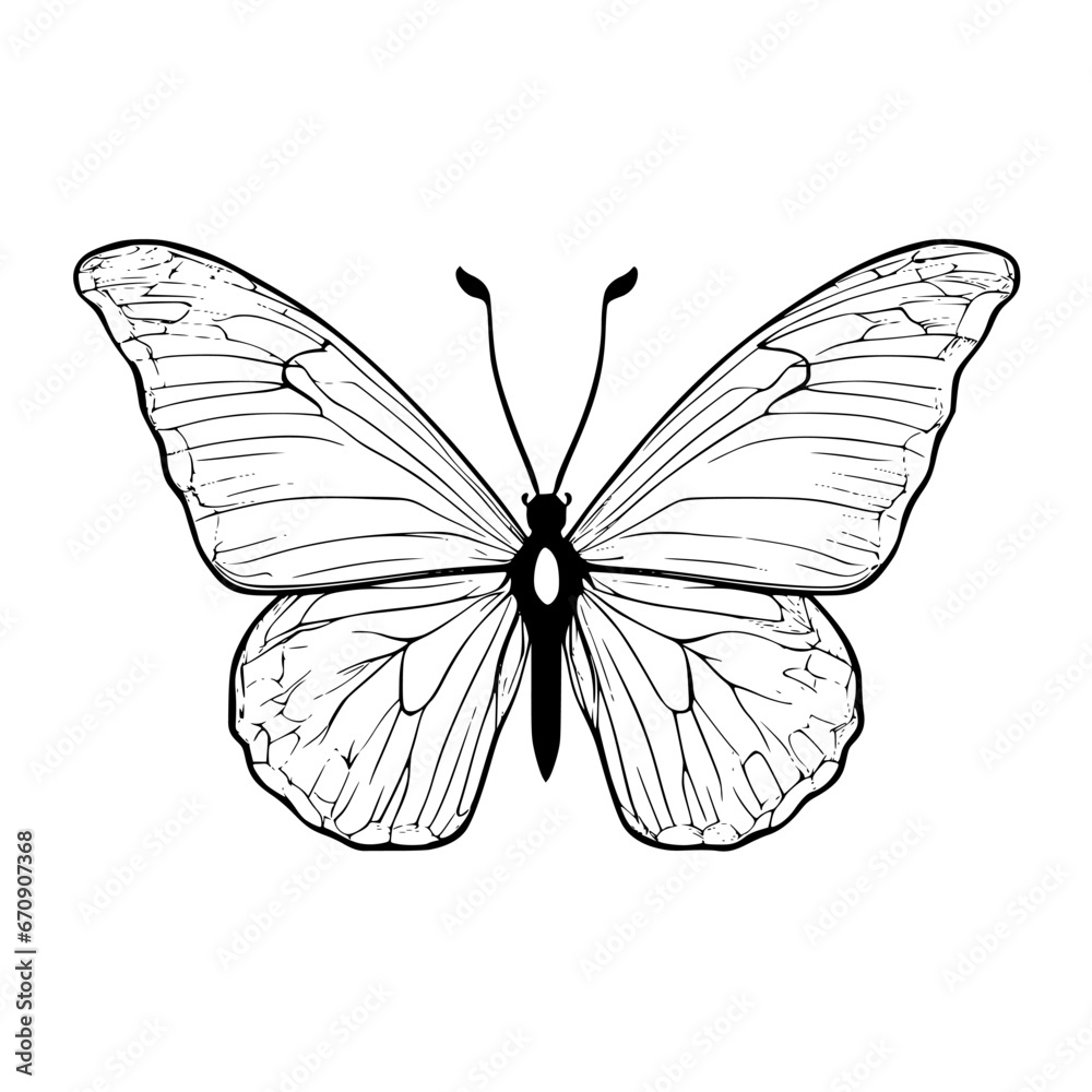 butterfly silhouette vector illustration butterfly silhouette vector illustration