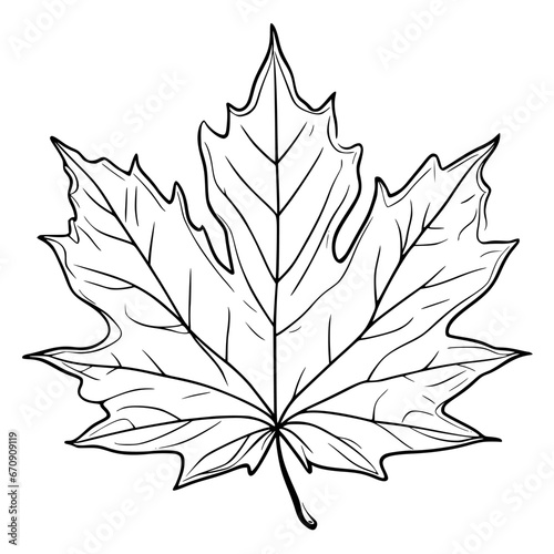 leaf silhouette vector illustration