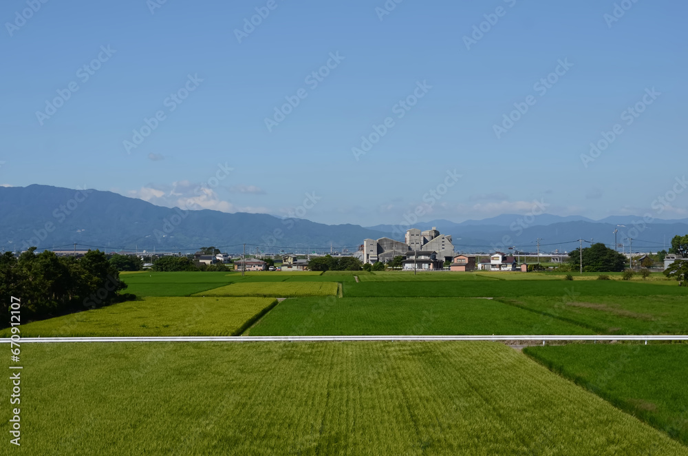 佐賀県の田んぼ風景