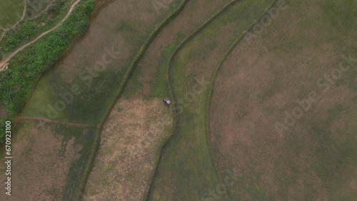 Birds eye view of local rice farmer at Ha giang Vietnam, aerial photo