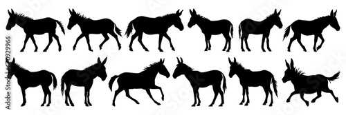 Donkey silhouettes set, large pack of vector silhouette design, isolated white background © FutureFFX
