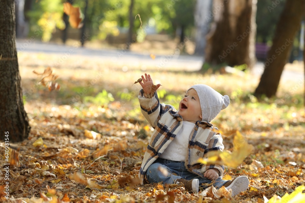 Cute little child on ground with dry leaves in autumn park, space for text Cute little child on ground with dry leaves in autumn park, space for text