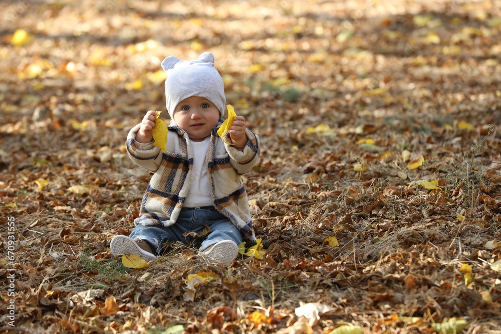 Cute little child on ground with autumn dry leaves outdoors, space for text Cute little child on ground with autumn dry leaves outdoors, space for text