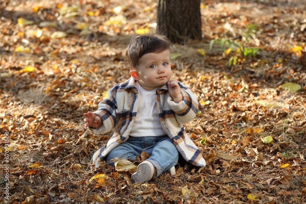 Cute little child on ground with autumn dry leaves outdoors Cute little child on ground with autumn dry leaves outdoors