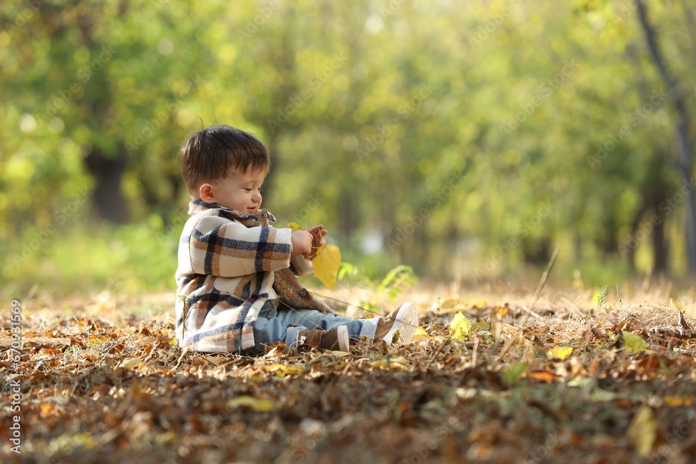 Cute little child on ground with dry leaves in autumn park, space for text Cute little child on ground with dry leaves in autumn park, space for text