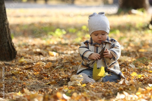 Cute little child on ground with dry leaves in autumn park, space for text