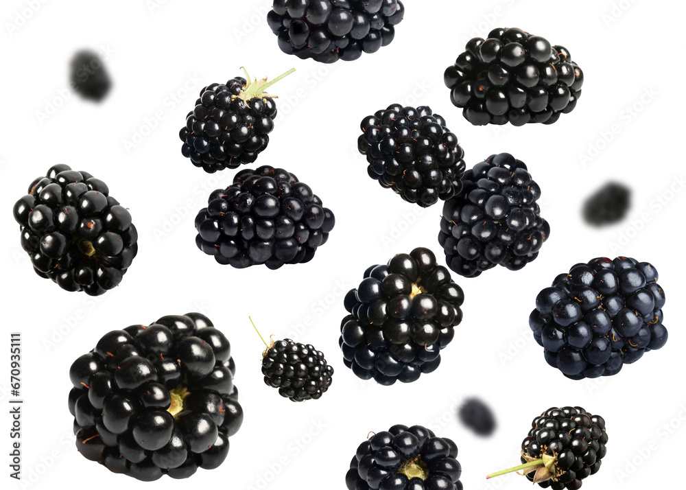 Many fresh blackberries falling on white background Many fresh blackberries falling on white background